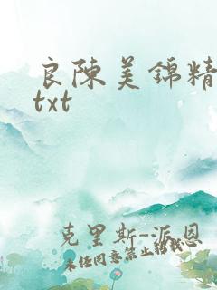 良陈美锦精校版txt