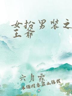 女扮男装之妖孽王爷