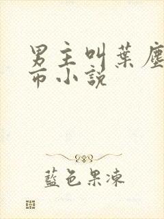 男主叫叶尘的都市小说