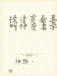 徐清霁乔嘉小说叫什么名字