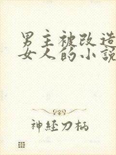 男主被改造成了女人的小说