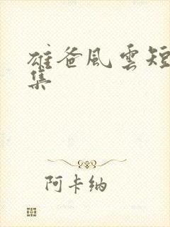 雄爸风云短剧全集