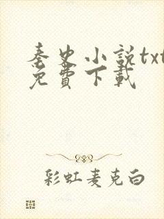 秦史小说txt免费下载