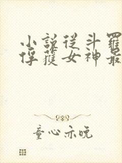 小说从斗罗开始俘获女神最新章节列表