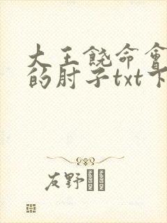 大王饶命会说话的肘子txt下载全本下载