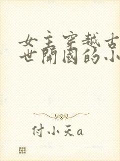 女主穿越古代乱世开国的小说