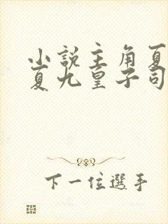 小说主角夏天大夏九皇子司马兰