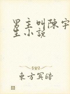 男主叫陈宇的重生小说