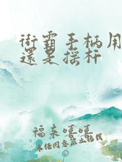 街霸手柄用十字还是摇杆