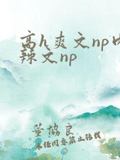 高h爽文np肉辣文np