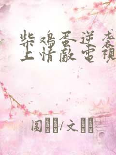 柴鸡蛋逆袭之爱上情敌电视剧