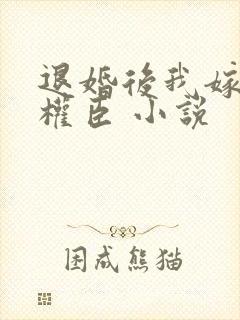 退婚后我嫁给了权臣 小说