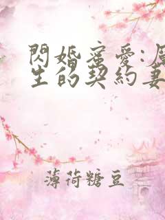 闪婚蜜爱:厉先生的契约妻