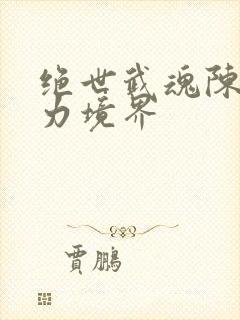 绝世武魂陈枫实力境界