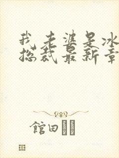 我老婆是冰山女总裁最新章节小说