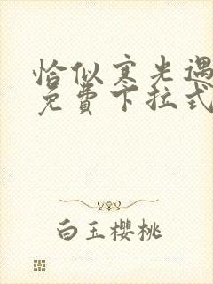 恰似寒光遇骄阳免费下拉式漫画