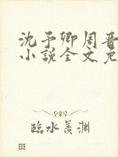 沈予卿周晋年的小说全文免费阅读