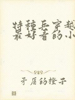 特种兵穿越古代最好看的小说