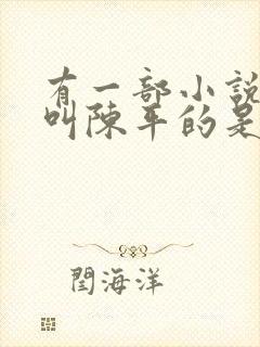 有一部小说主角叫陈平的是什么小说