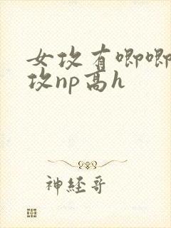 女攻有唧唧的女攻np高h