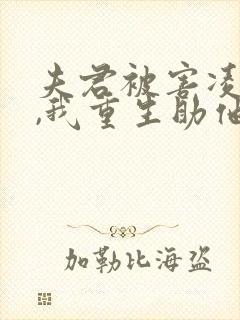 夫君被害凌迟后,我重生助他夺嫡免费阅读