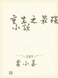 重生之最强高手 小说