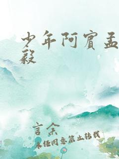 少年阿宾孟卉小毅