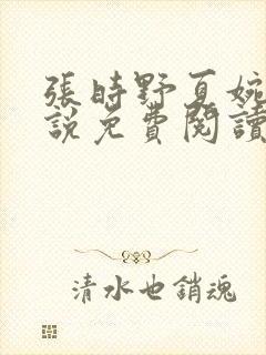 张时野夏婉央小说免费阅读笔趣阁