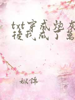 txt穿成炮灰后我成了万人迷