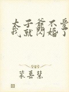 太子爷不爱我那我就闪婚了小说