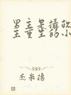 男主是摄政王女主重生的小说