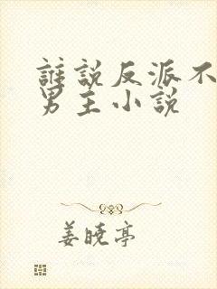 谁说反派不能当男主小说