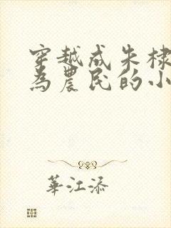 穿越成朱棣被贬为农民的小说