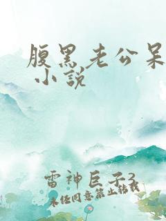 腹黑老公呆萌妻 小说