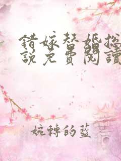 错嫁替婚总裁小说免费阅读