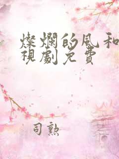 灿烂的风和海电视剧免费