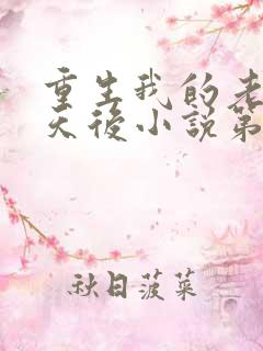 重生我的老婆是天后小说第一部