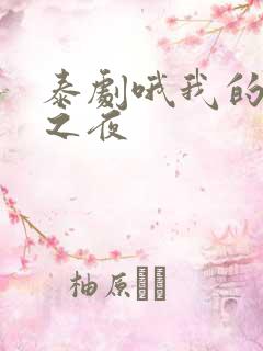 泰剧哦我的阳光之夜