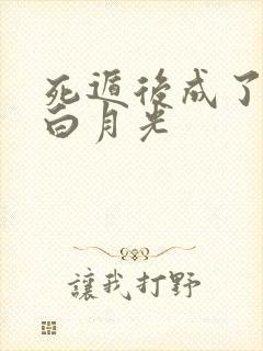 死遁后成了师尊白月光