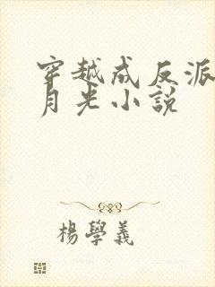 穿越成反派的白月光小说