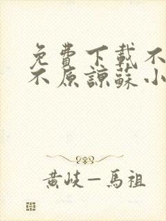 免费下载不复合不原谅苏小姐独美小说全文