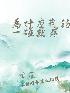 为什么我的睾丸一碰就疼