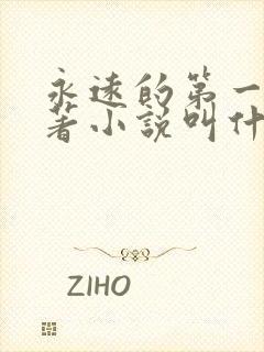 永远的第一名原著小说叫什么