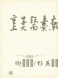 重生狂妻大佬宠上天南景,战北庭