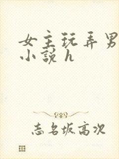 女主玩弄男人的小说 h