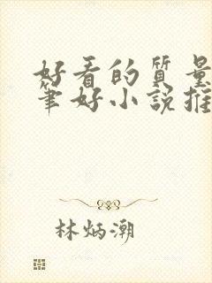 好看的质量高文笔好小说推荐