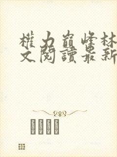 权力巅峰林毅全文阅读最新章节