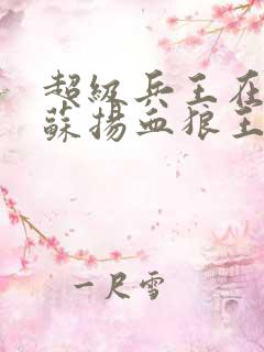 超级兵王在都市苏扬血狼王