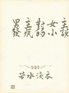 男主对女主爱到发疯的小说