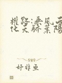 权路:乘风而起化天骄叶阳在线阅读